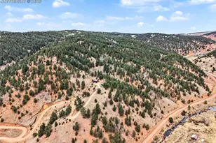 220 Rocky Mountain View, Divide, CO 80814 - Photo 26