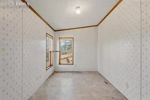 1711 Witcher Mtn. Rd, Guffey, CO 80820 - Photo 14