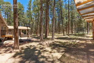 723 N Center St, Woodland Park, CO 80863 - Photo 38