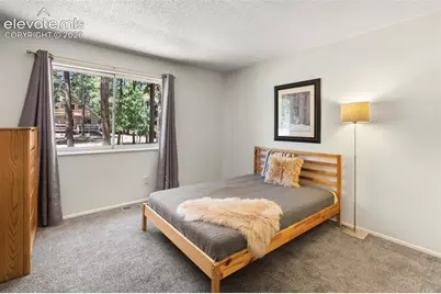 723 N Center Street, Woodland Park, CO 80863 - Photo 18