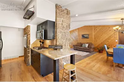 723 N Center Street, Woodland Park, CO 80863 - Photo 10