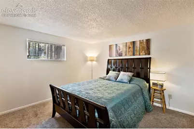 723 N Center Street, Woodland Park, CO 80863 - Photo 30