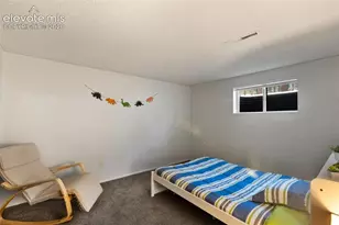 723 N Center St, Woodland Park, CO 80863 - Photo 28