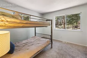 723 N Center St, Woodland Park, CO 80863 - Photo 16