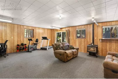723 N Center Street, Woodland Park, CO 80863 - Photo 20