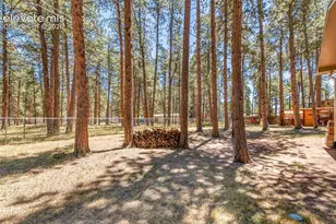 723 N Center St, Woodland Park, CO 80863 - Photo 40