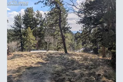 56 Rampart Circle, Florissant, CO 80816 - Photo 10