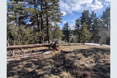 56 Rampart Circle, Florissant, CO 80816 - Photo 20