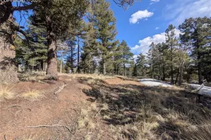 56 Rampart Cir, Florissant, CO 80816 - Photo 1