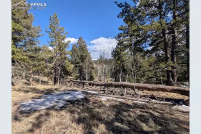 56 Rampart Circle, Florissant, CO 80816 - Photo 18