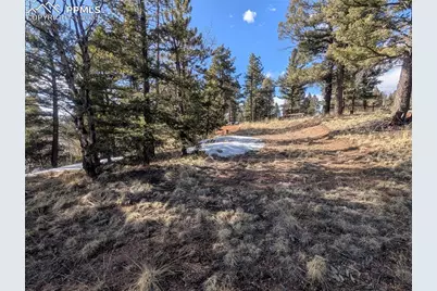 56 Rampart Circle, Florissant, CO 80816 - Photo 22