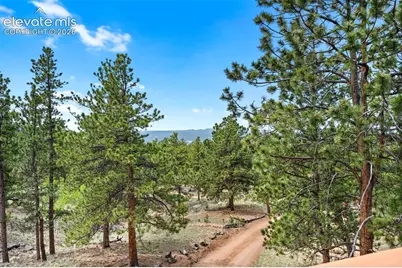605 Obsidian Drive, Florissant, CO 80816 - Photo 40