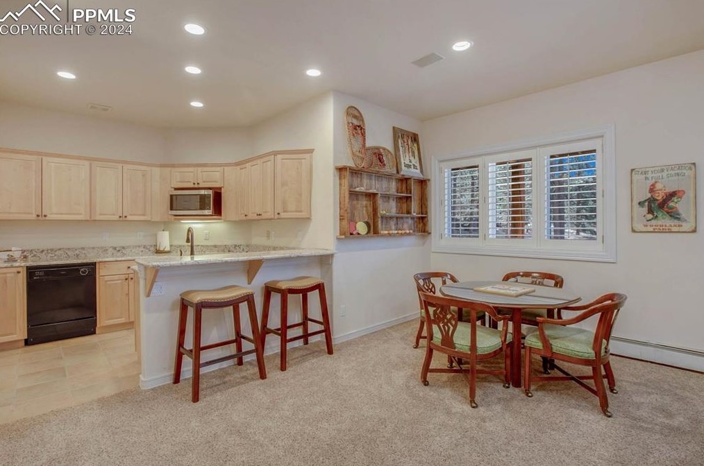 725 Sun Valley Dr, Woodland Park CO 80863-9089 exterior