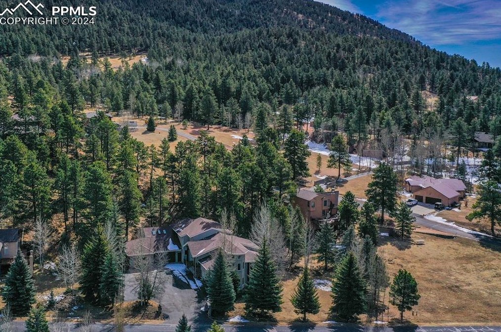 725 Sun Valley Dr, Woodland Park CO 80863-9089 exterior