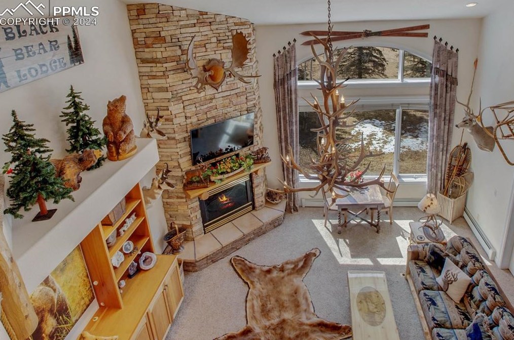 725 Sun Valley Dr, Woodland Park CO 80863-9089 exterior