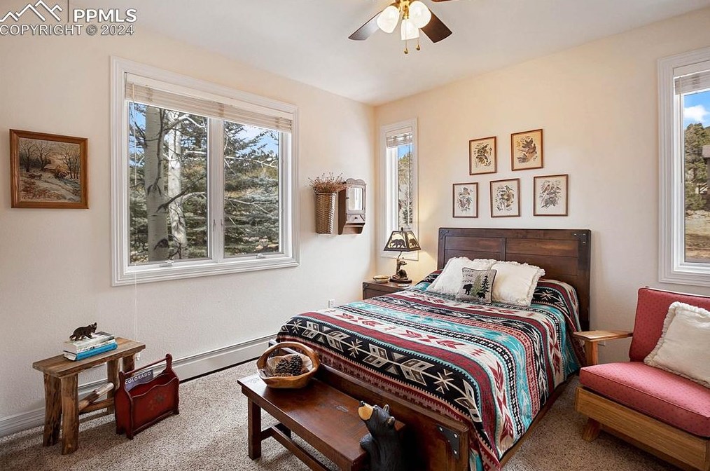 725 Sun Valley Dr, Woodland Park CO 80863-9089 exterior