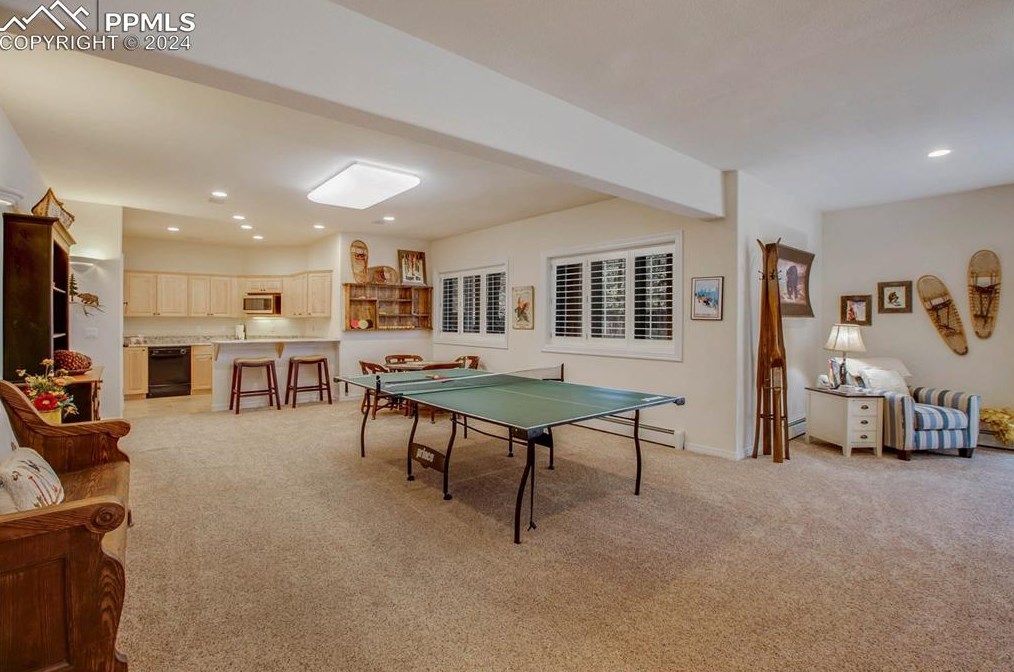 725 Sun Valley Dr, Woodland Park CO 80863-9089 exterior