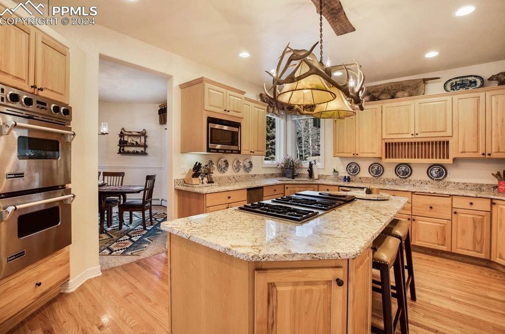 725 Sun Valley Dr, Woodland Park CO 80863-9089 exterior