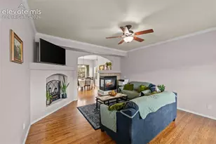 14143 Albatross Dr, Colorado Springs, CO 80921 - Photo 10