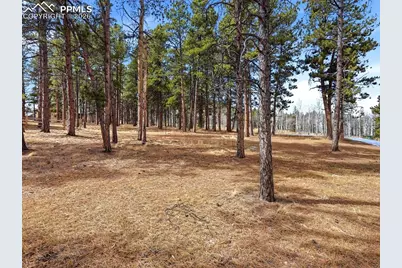 1305 Stone Ridge Drive, Woodland Park, CO 80863 - Photo 44