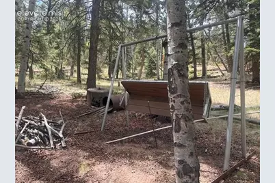 135 Mount Massive Road, Florissant, CO 80816 - Photo 20