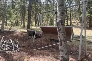 135 Mt Massive Rd, Florissant, CO 80816 - Photo 20