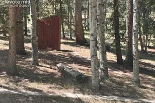 135 Mt Massive Rd, Florissant, CO 80816 - Photo 14
