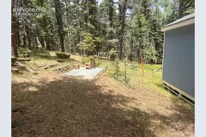 135 Mount Massive Road, Florissant, CO 80816 - Photo 18