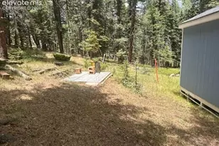 135 Mt Massive Rd, Florissant, CO 80816 - Photo 18