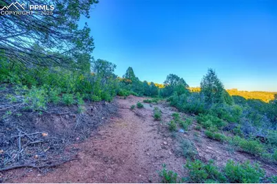 3135 Angel Terrace, Colorado Springs, CO 80904 - Photo 12