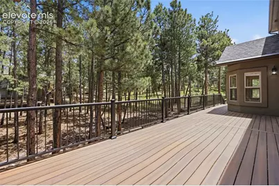 164 Metcalf Lane, Monument, CO 80132 - Photo 6