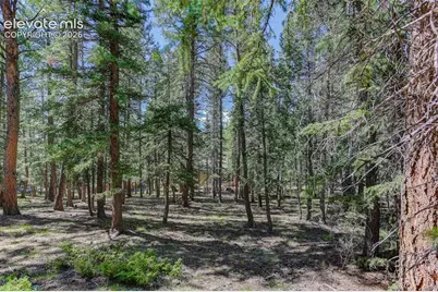 2873 Sunnywood Avenue, Woodland Park, CO 80863 - Photo 36