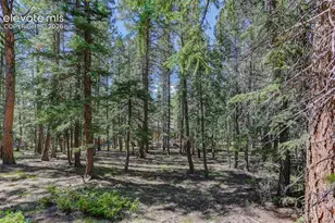 2873 Sunnywood Ave, Woodland Park, CO 80863 - Photo 36