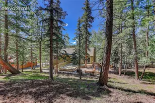 2873 Sunnywood Ave, Woodland Park, CO 80863 - Photo 40