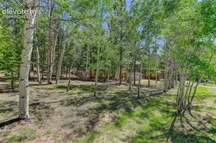 2873 Sunnywood Ave, Woodland Park, CO 80863 - Photo 42