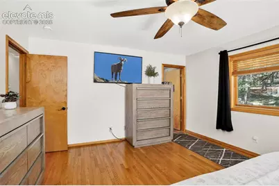 2873 Sunnywood Avenue, Woodland Park, CO 80863 - Photo 22