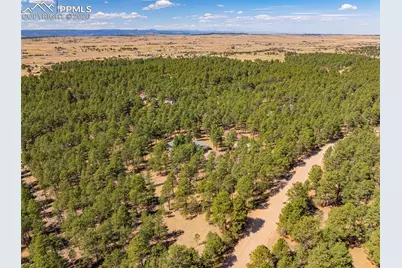 15520 Bar X Road, Colorado Springs, CO 80908 - Photo 50