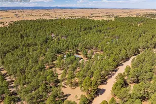 15520 Bar X Rd, Colorado Springs, CO 80908 - Photo 50