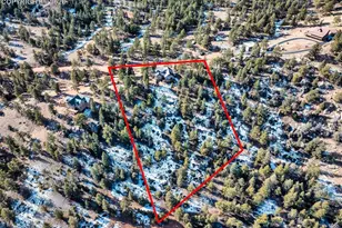 146 Conifer Cir, Florissant, CO 80816 - Photo 36