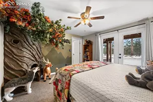 803 Timber Mesa Rd, Florissant, CO 80816 - Photo 18