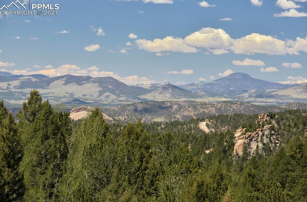 265 Homestead Rd, Divide, CO 80814