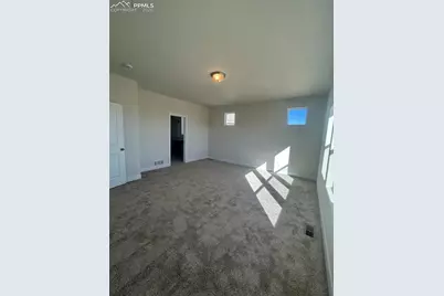 6073 Miller Run Place, Colorado Springs, CO 80924 - Photo 16