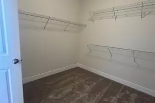 6073 Miller Run Pl, Colorado Springs, CO 80924 - Photo 20