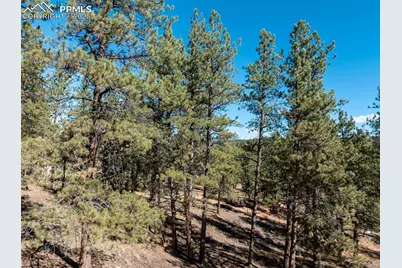 205 Stonehenge Drive, Florissant, CO 80816 - Photo 14