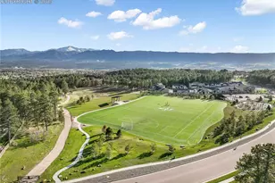 1004 Tree Bark Terrace, Monument, CO 80132 - Photo 46