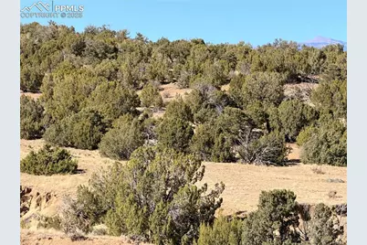 537 Rio Cucharas, Walsenburg, CO 81089 - Photo 12