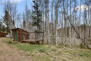 79 Beaver Creek Cir, Florissant, CO 80816 - Photo 4
