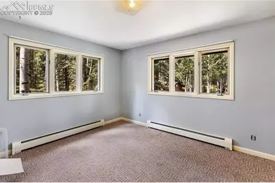 56 Blue Jay Lane, Divide, CO 80814 - Photo 26