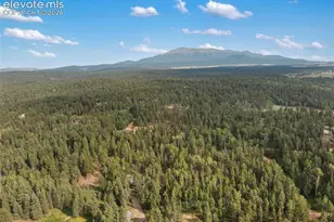 56 Blue Jay Ln, Divide, CO 80814 - Photo 12