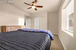 10322 Webster Pass Ct, Colorado Springs, CO 80924 - Photo 26